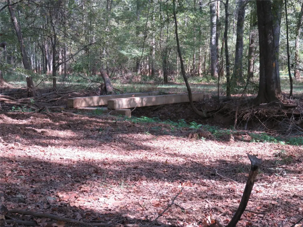 Picture 24