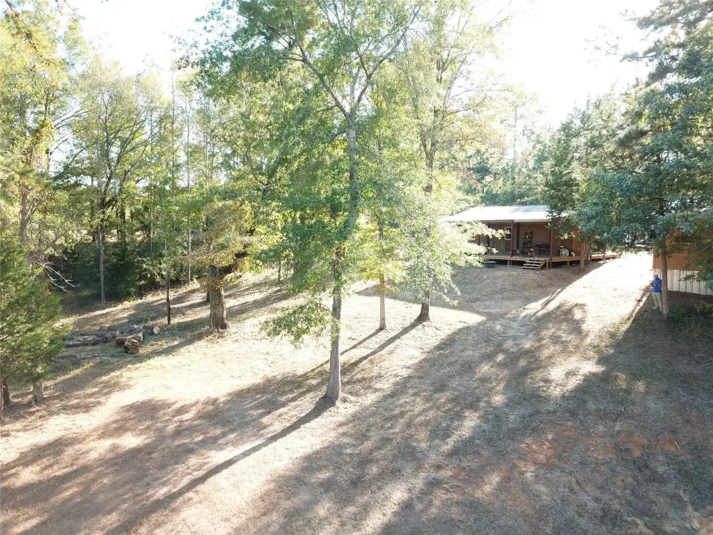 Picture 10