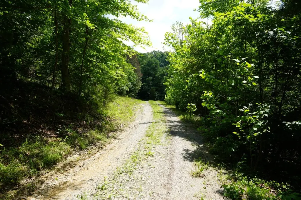 Picture 41