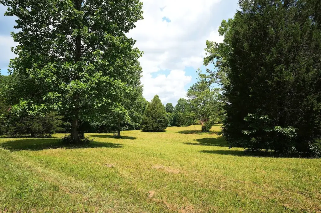 Picture 23