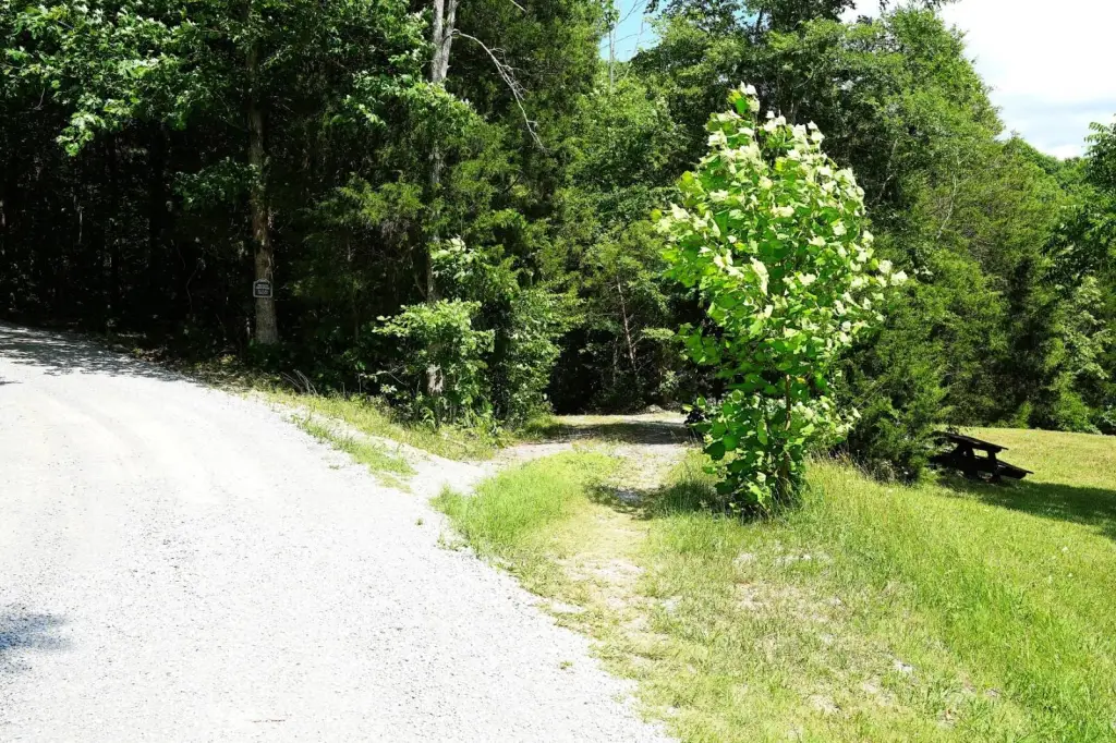 Picture 46