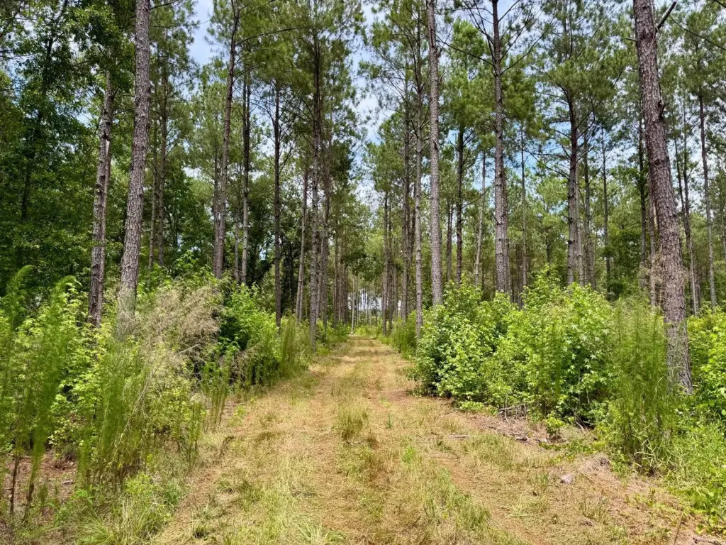 Picture 30