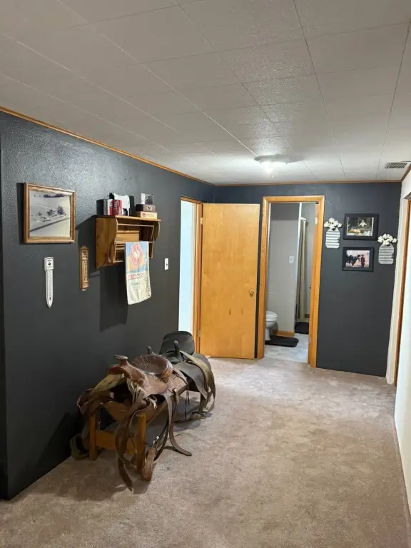 Picture 29