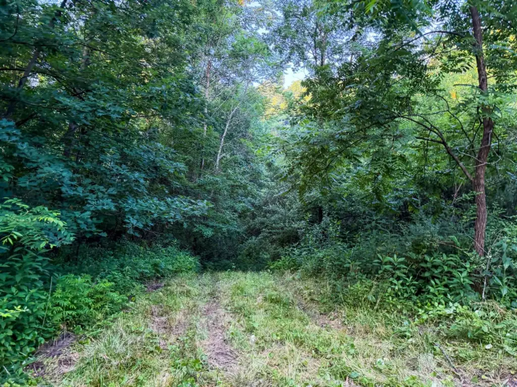 Picture 31