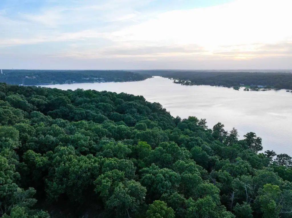 Picture 20