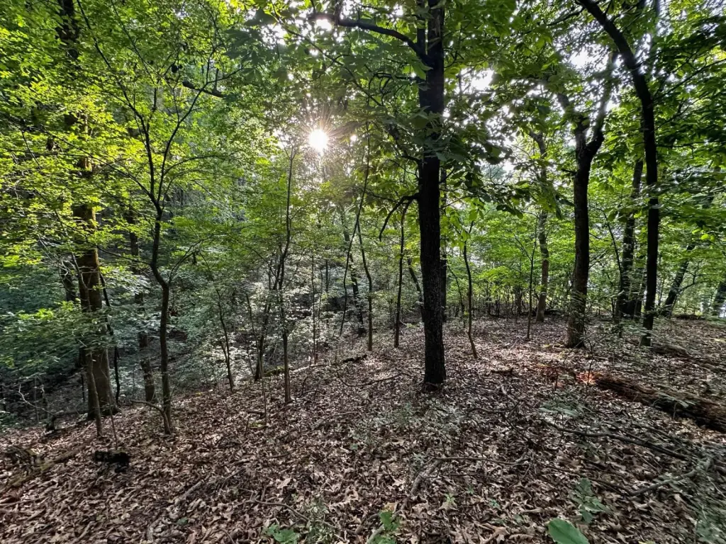 Picture 14
