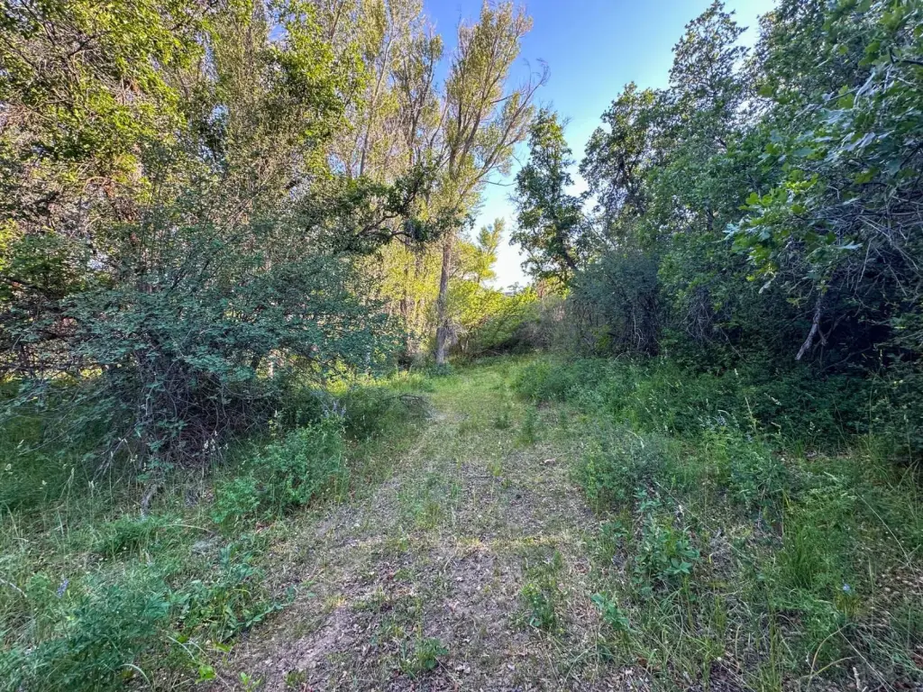 Picture 45