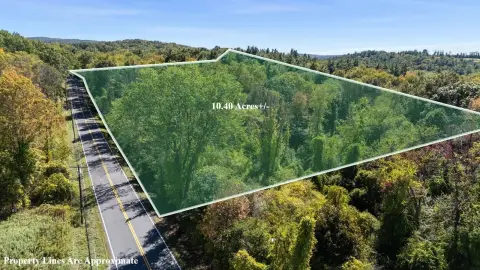 Wooded Land with Seller Financing