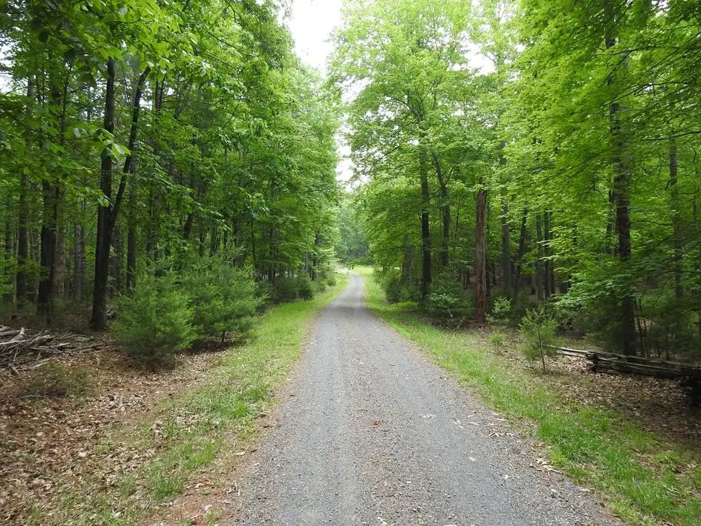 Picture 7