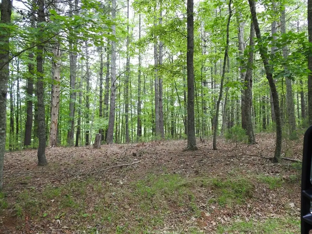 Picture 8
