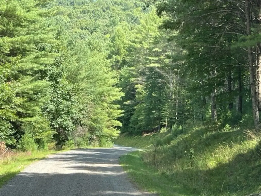 Picture 5