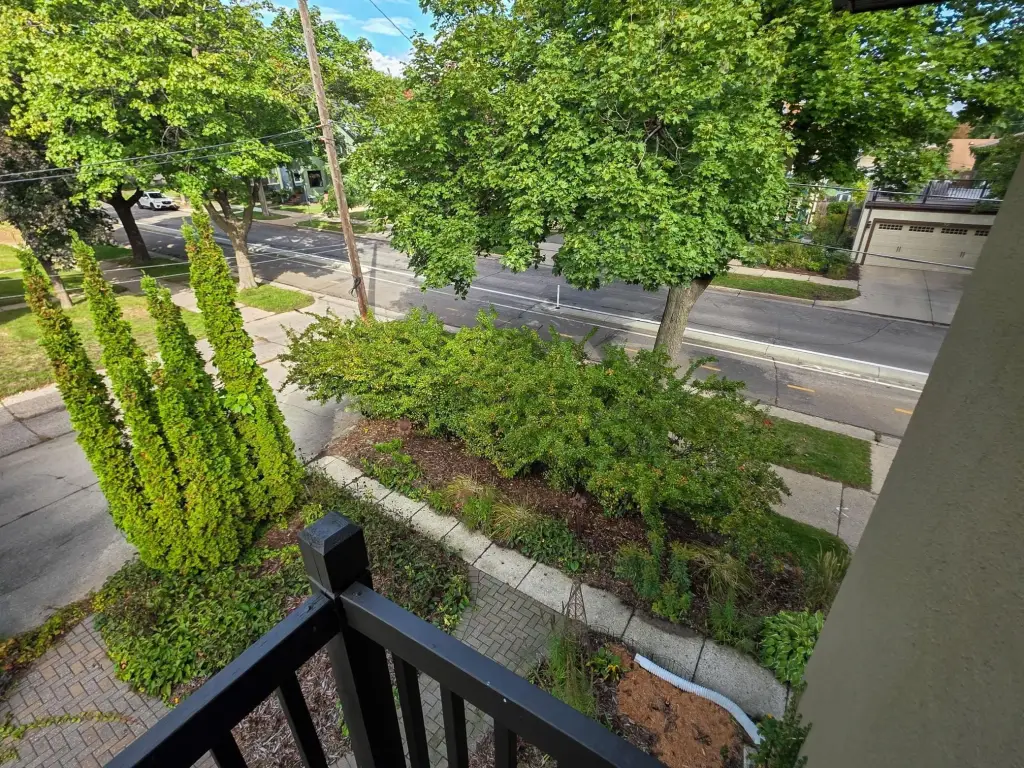 Picture 15