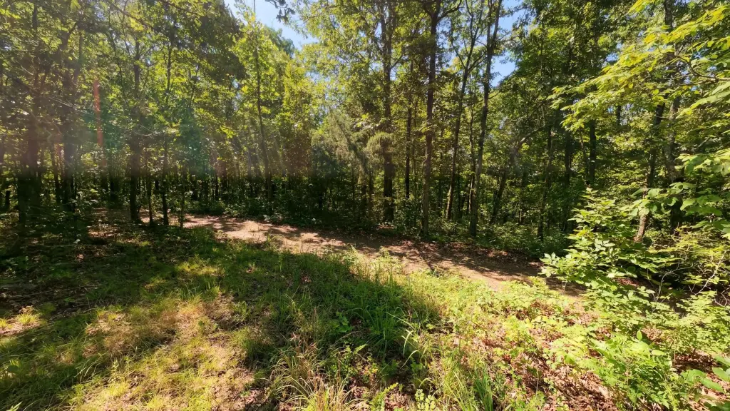 Picture 18