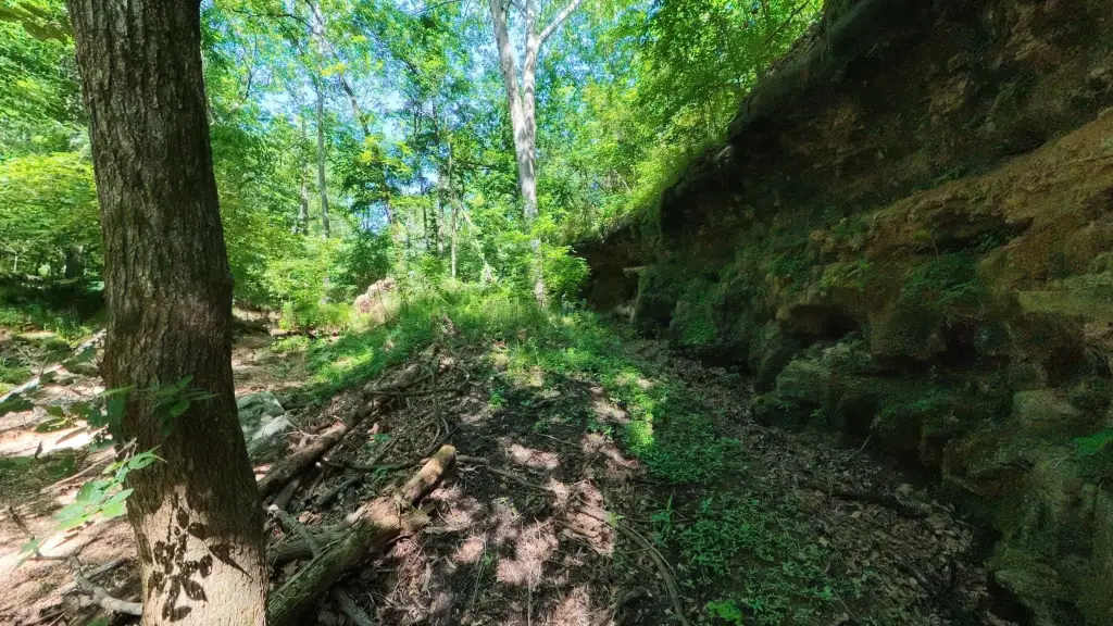 Picture 25