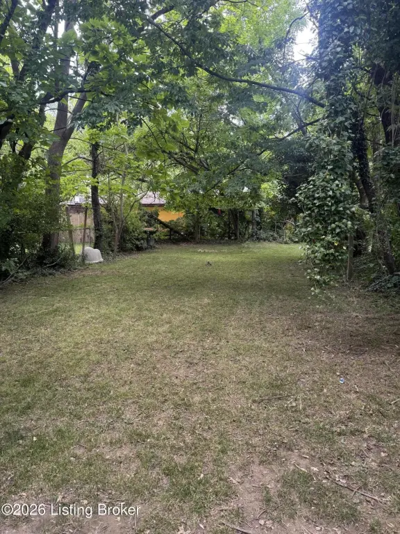 Picture 7