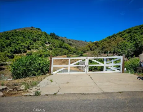 Producing Avocado Grove in Temecula