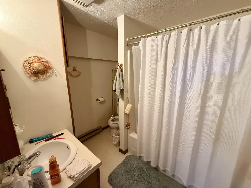 Picture 21