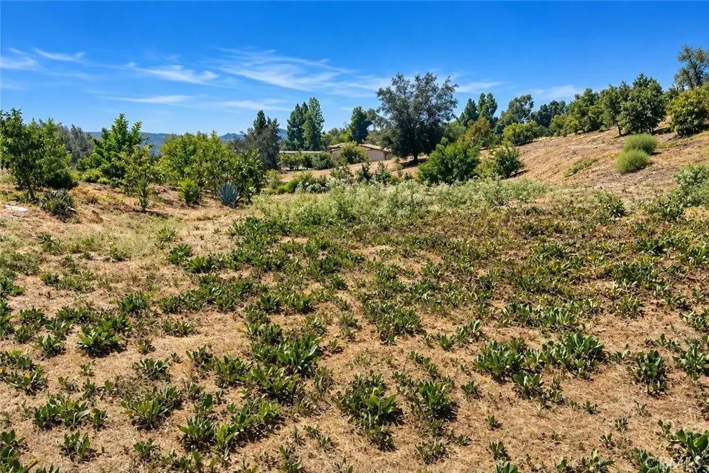 Picture 39