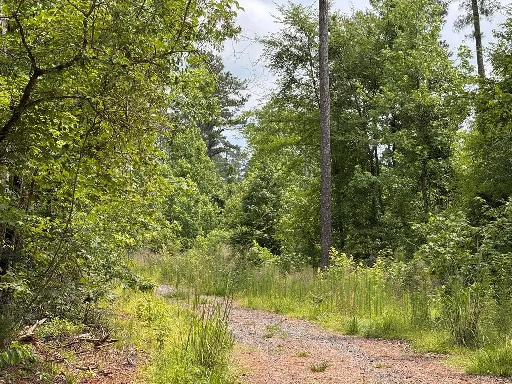 Picture 18