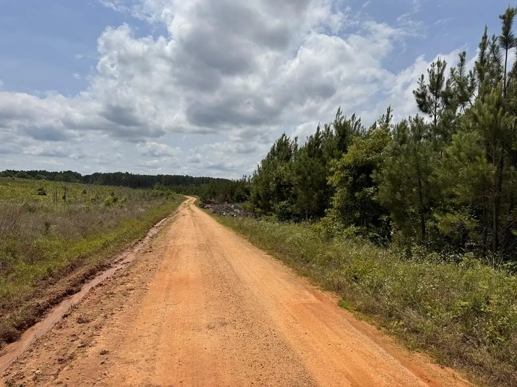 Picture 38
