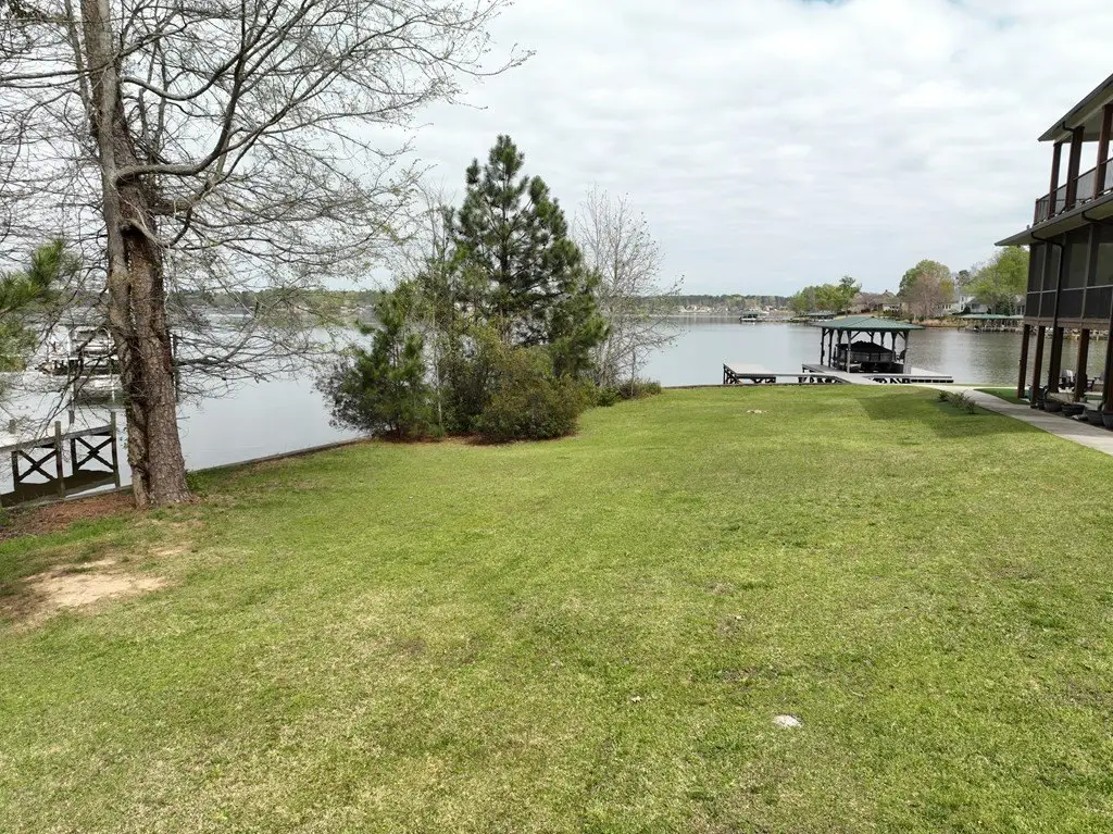 Picture 5