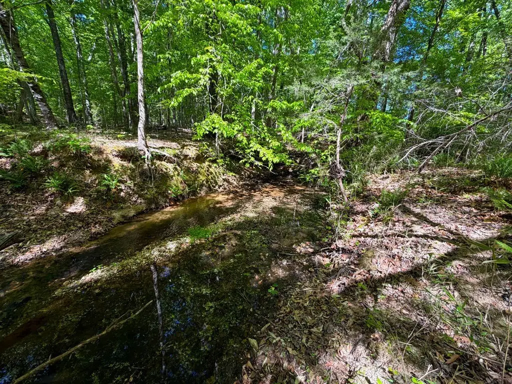Picture 23