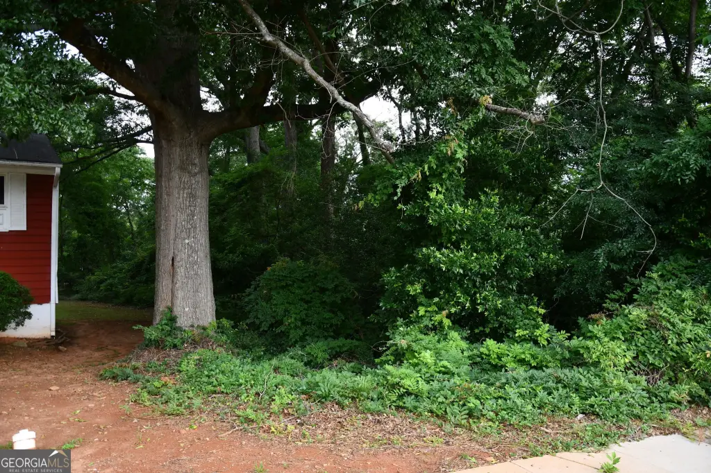 Picture 4