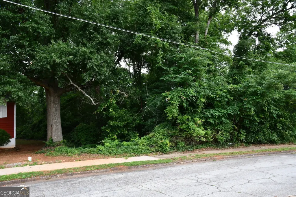Picture 14