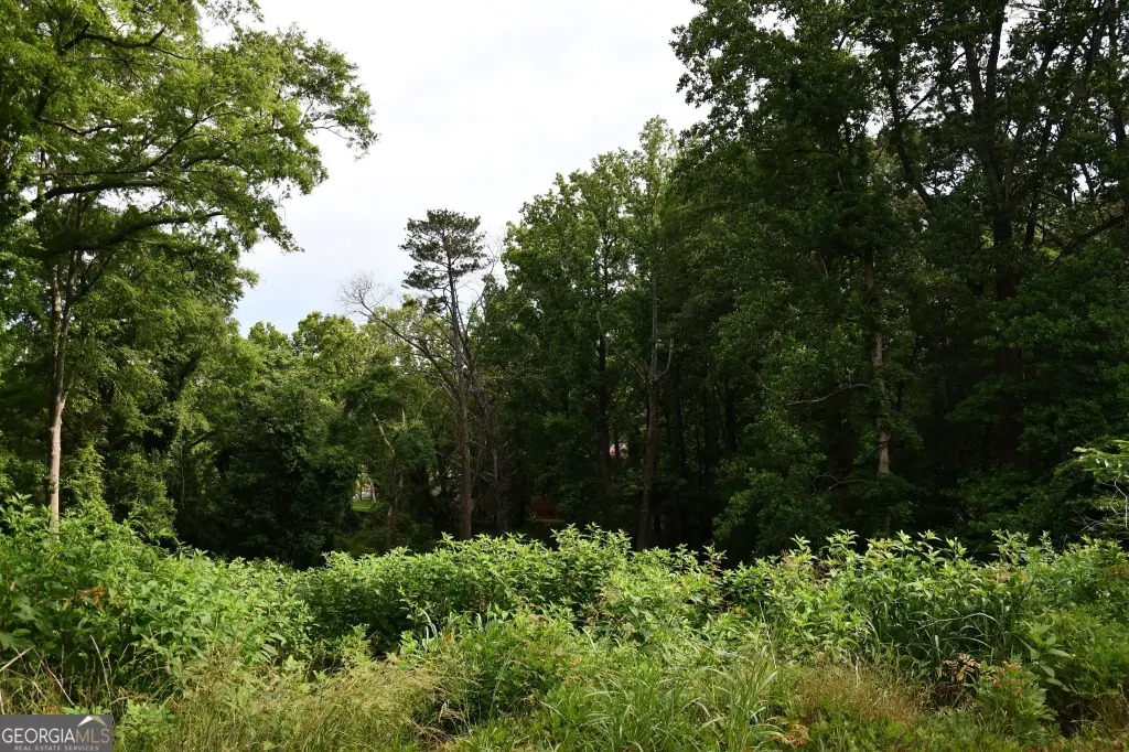 Picture 19