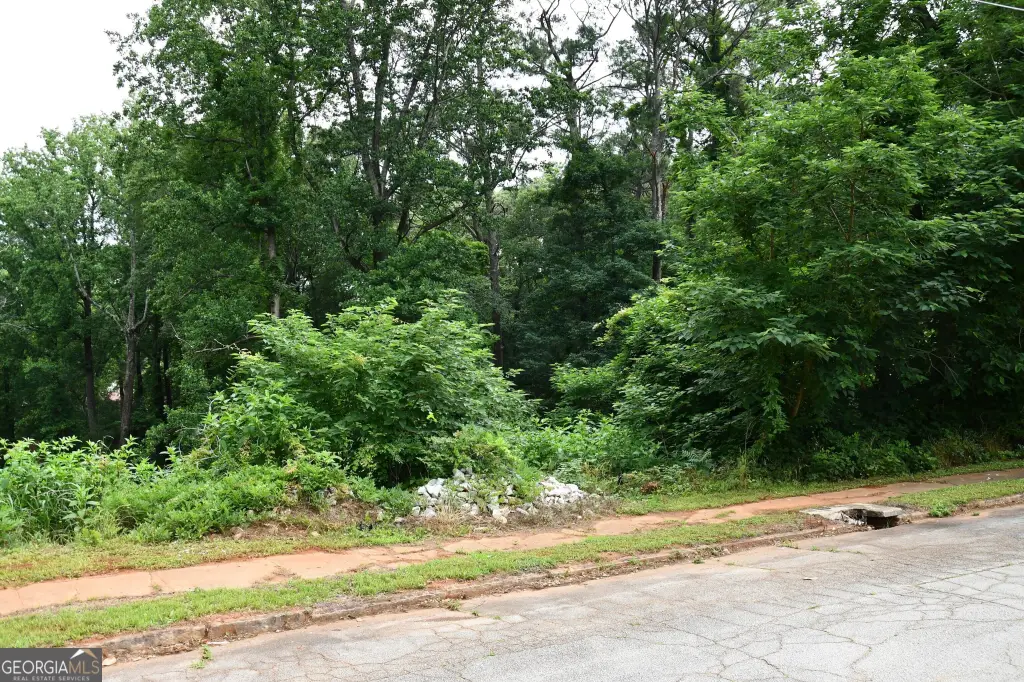 Picture 17