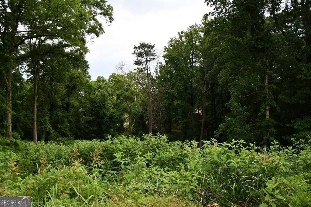 Picture 8