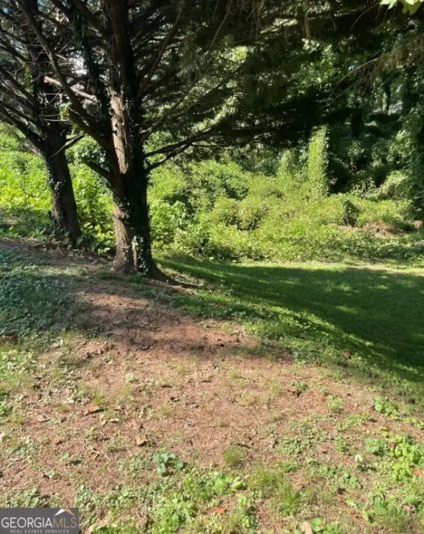 Picture 4