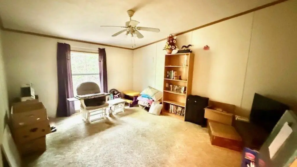 Picture 24