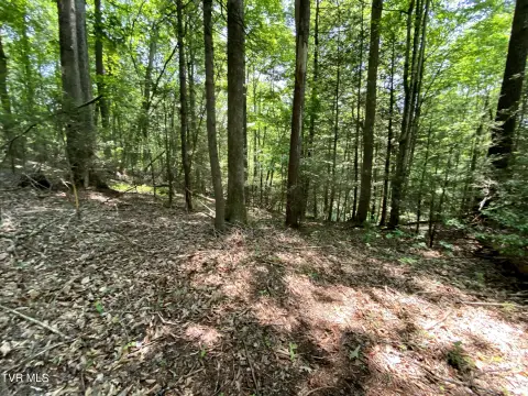 Mountain City Land for Sale