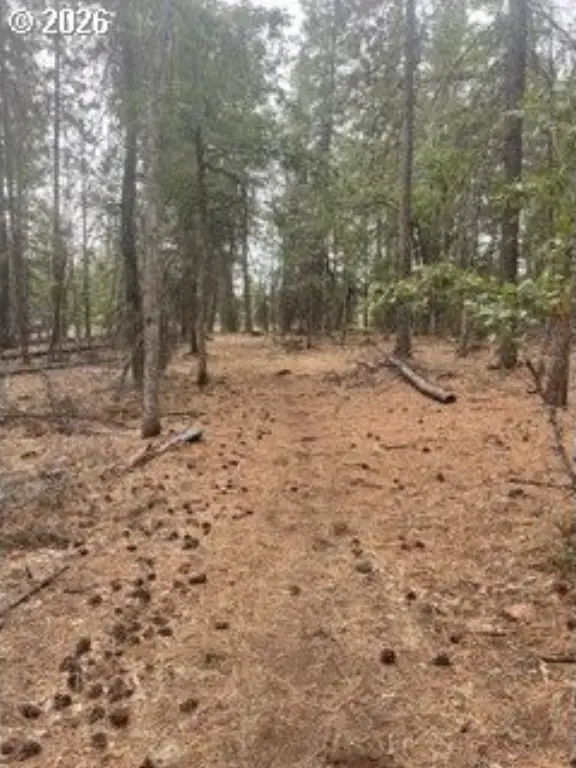 Picture 2