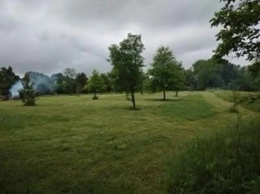 Picture 14
