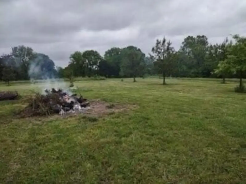 Picture 3