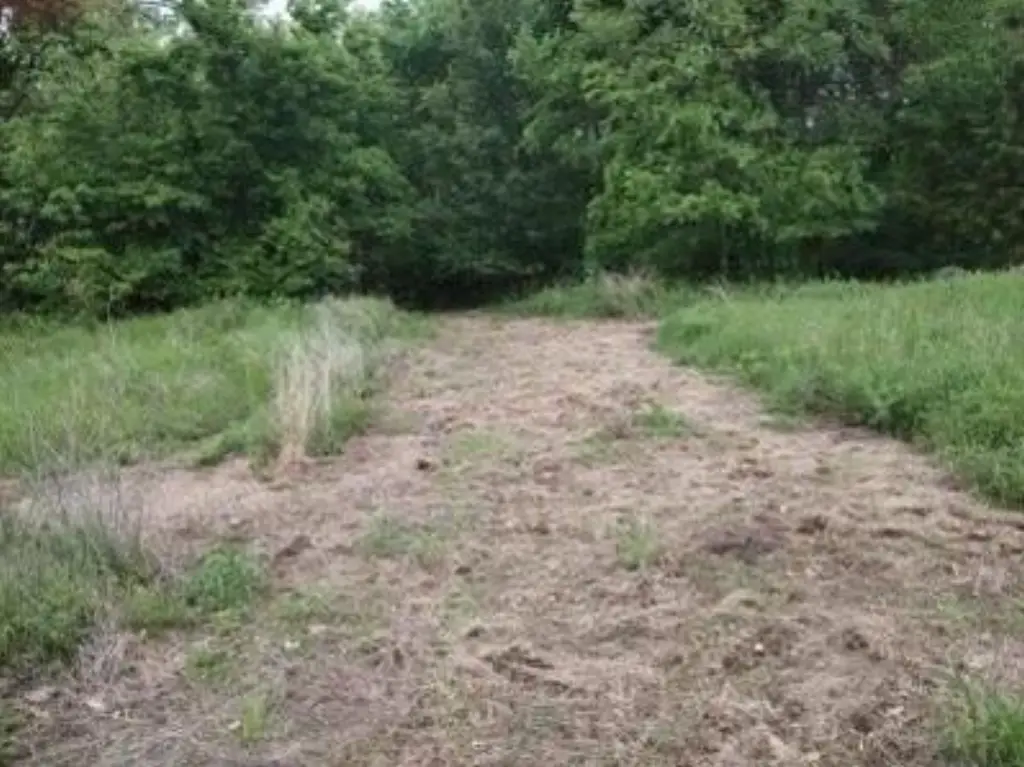 Picture 12