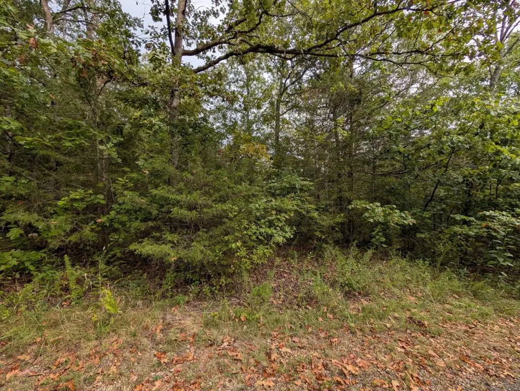 Picture 4