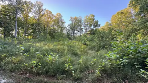 Residential Lots Near Raccoon Lake