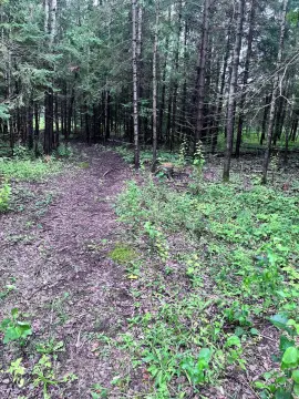 Commercial Land Near Highway Intersection