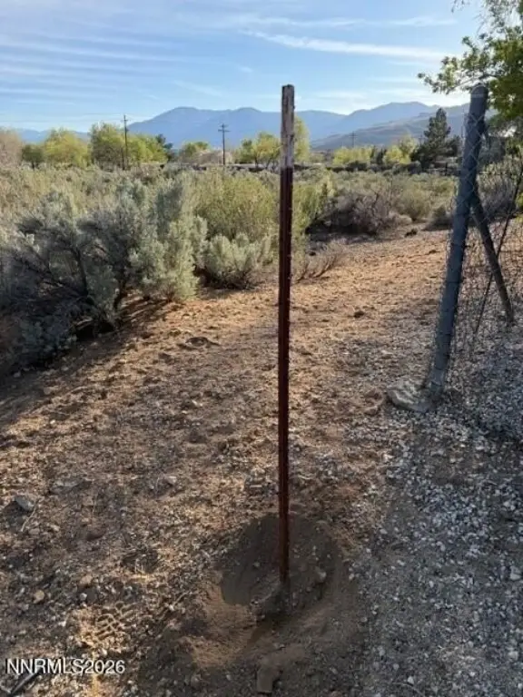 Picture 10