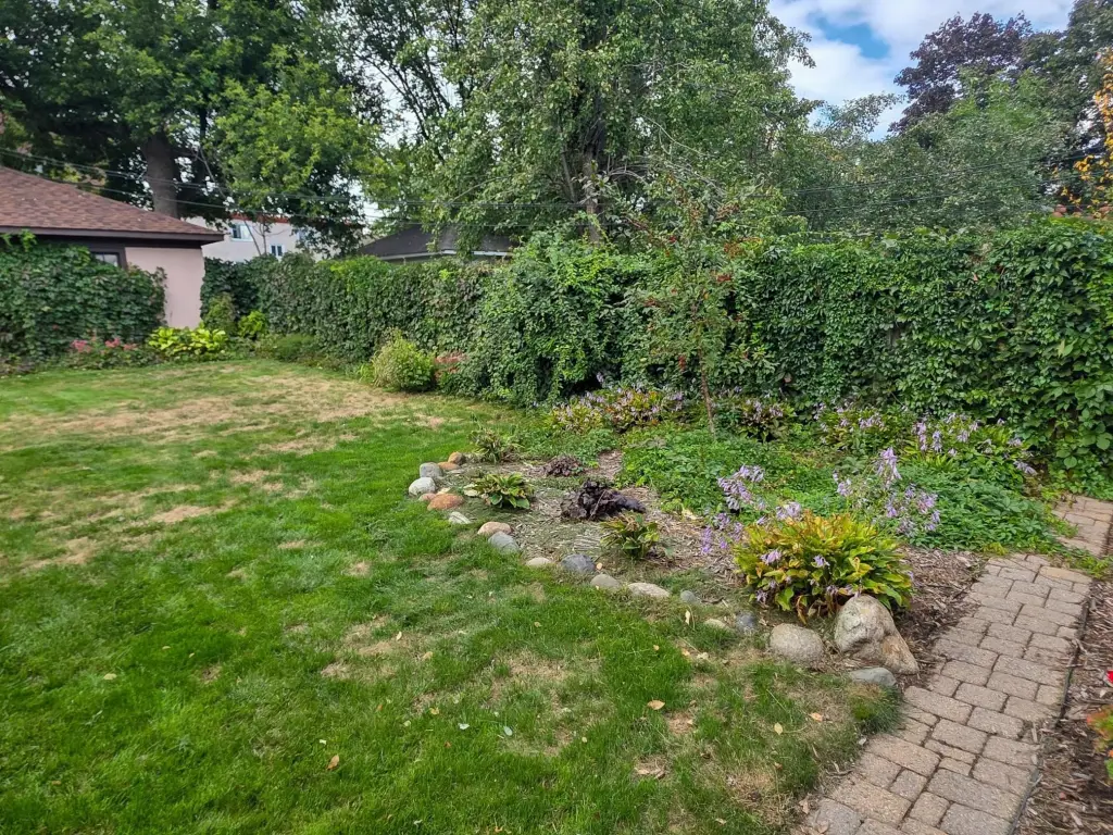 Picture 39