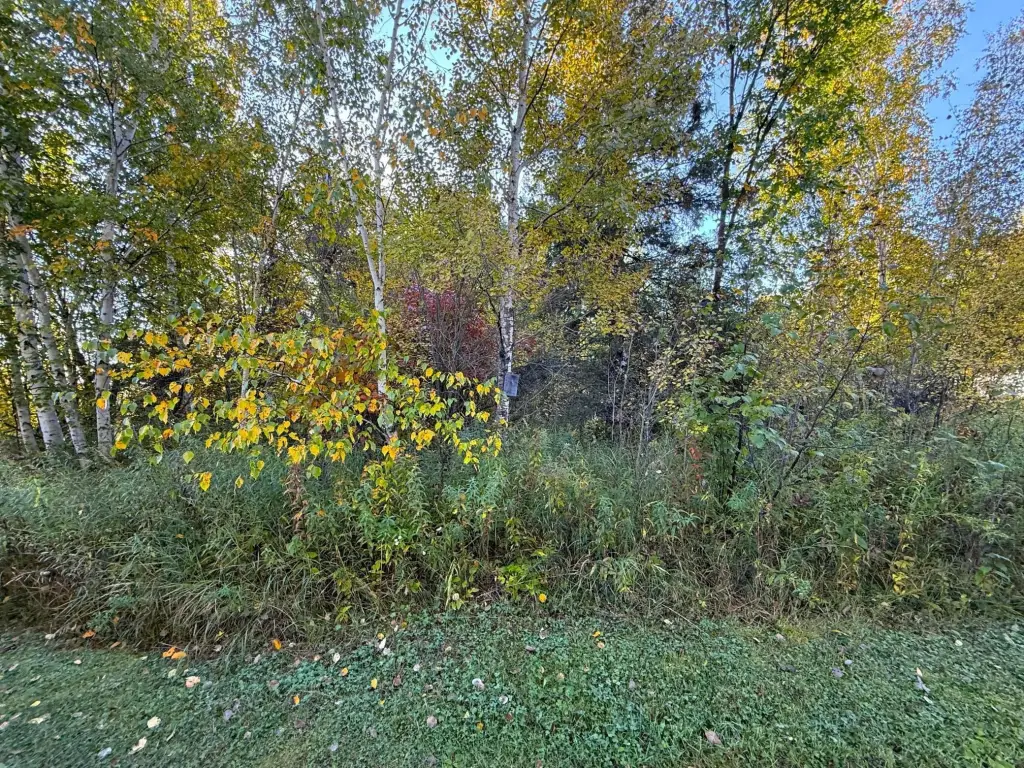 Picture 40