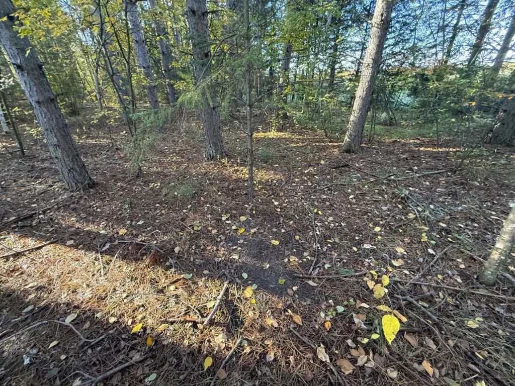 Picture 10