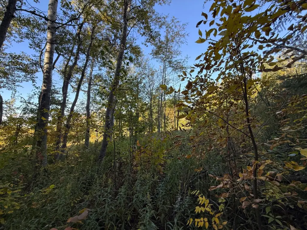 Picture 46
