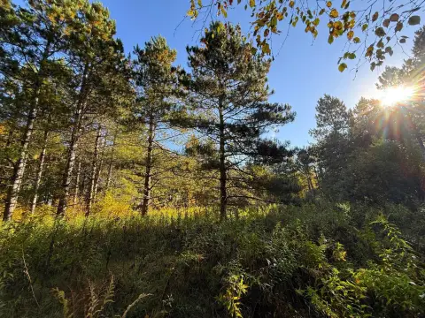 Recreation Land Near Soo Line Trail