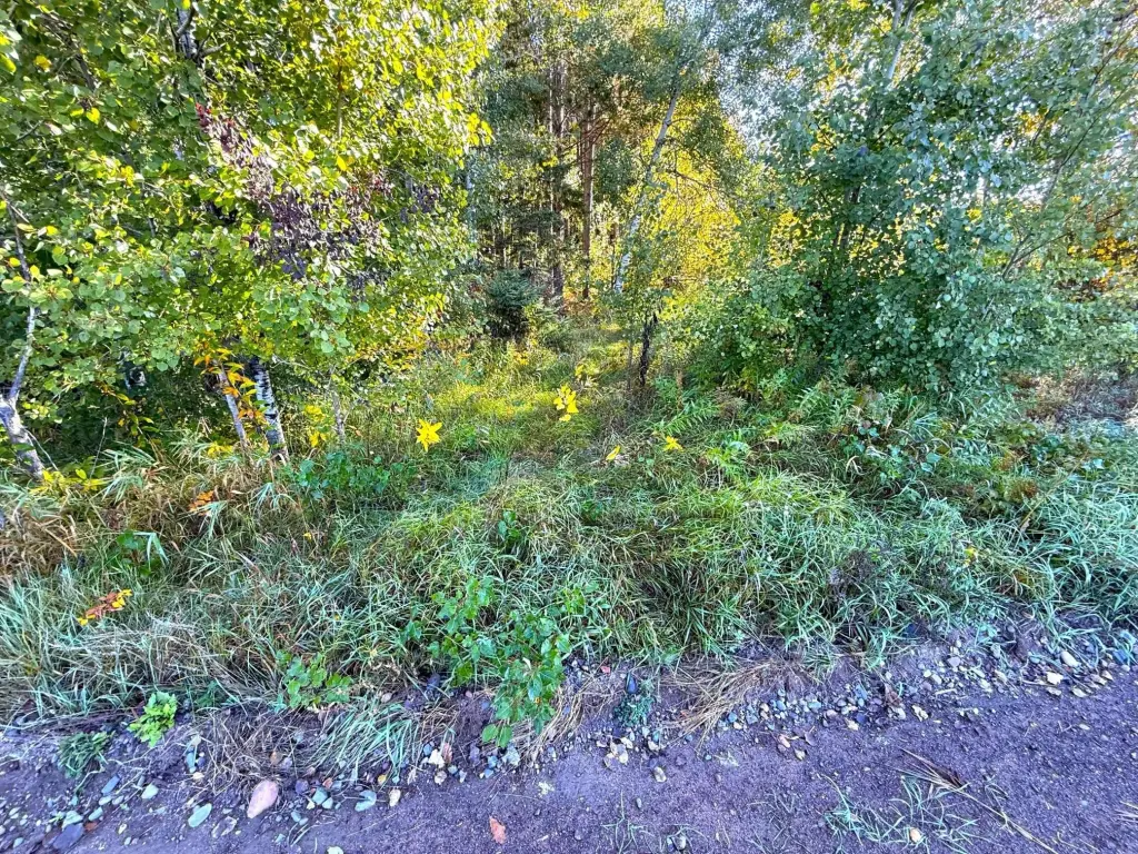 Picture 25