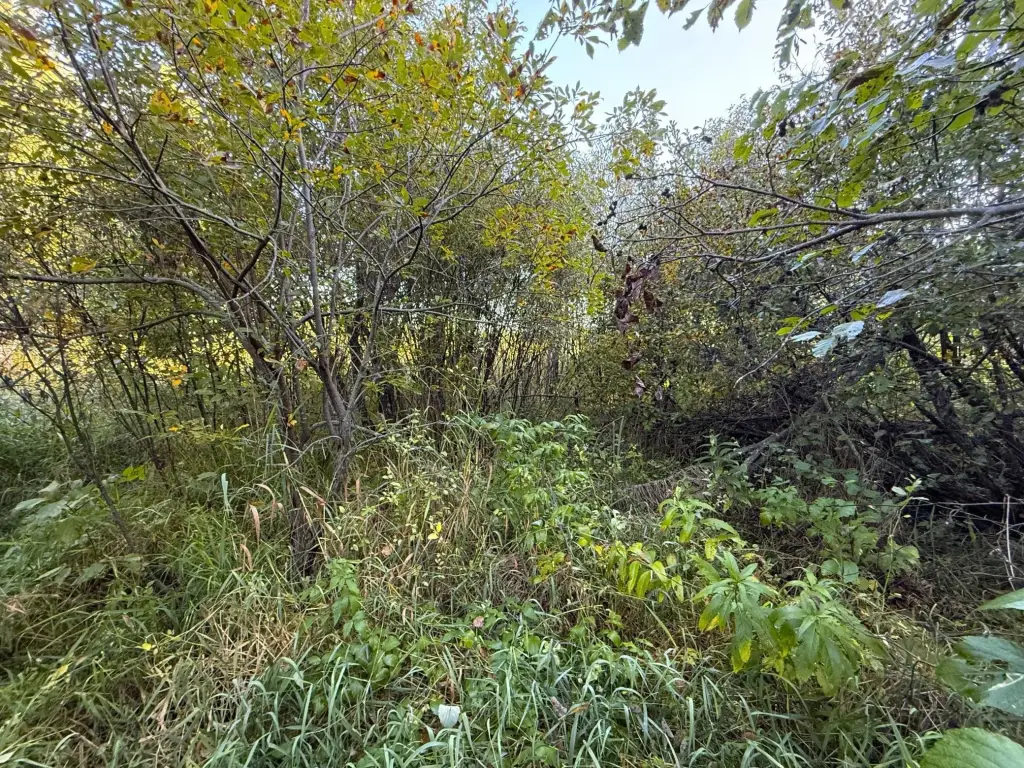 Picture 38