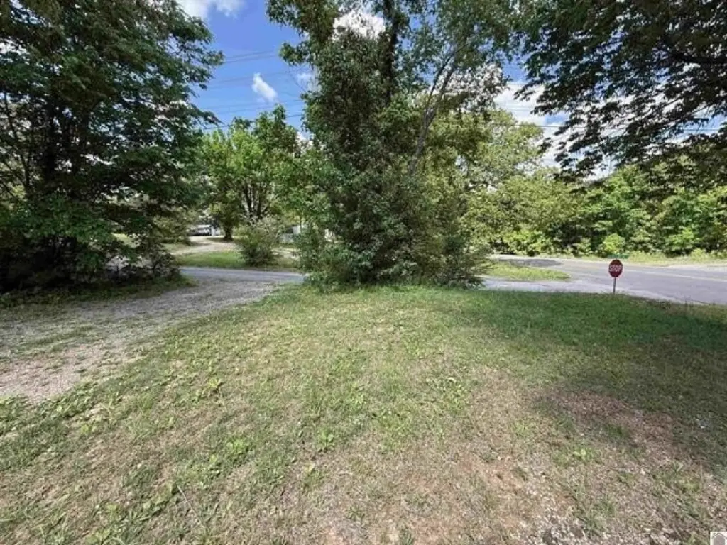 Picture 4